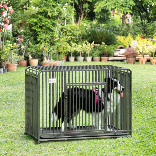 Tucker Murphy Pet™ 43" Heavy Duty Dog Cage, Foldable Steel Crate Kennel